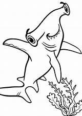 Free & Easy To Print Shark Coloring Pages  Tulamama sketch template