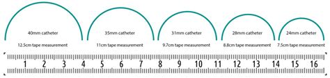 Urinary Catheter Sizes Condom Catheter, Foley Size Charts, 45% OFF