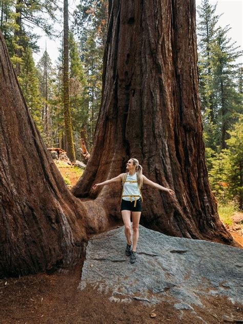 10 Best Day Hikes In Sequoia National Park Story