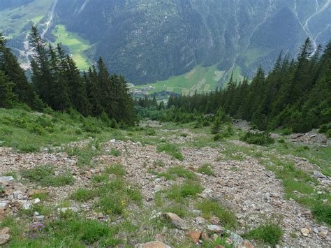 Avalanches Create New Habitats for Plants and Animals