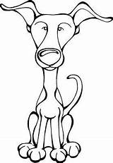 Italian Greyhound Drawing Sketch Coloring Page sketch template