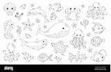 Sea animals coloring book For Kids Stock Vector Image & Art  Alamy sketch template
