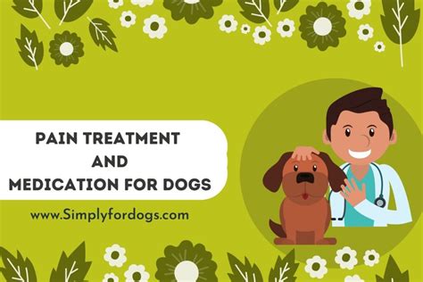 Pain Treatment And Medication For Dogs (Ultimate Guide) - Simply For Dogs