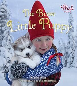 The Christmas Wish (A Wish Book) - Kindle edition by Evert, Lori, Breiehagen, Per. Children ...