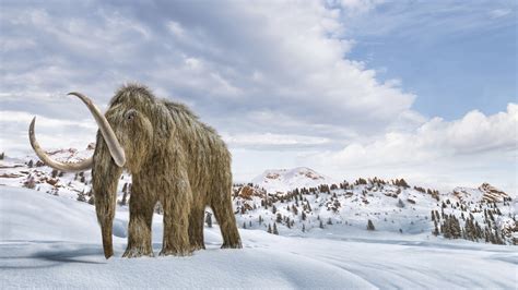 Science - Pleistocene Park: Bioscience and genetic engineering firm ...