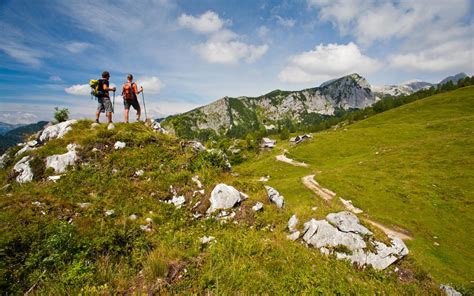 18 fascinating facts about Slovenia, the country where one in 20 people keep bees