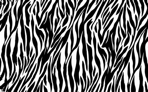 Zebra Print Wallpaper HD | PixelsTalk.Net