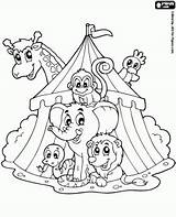 Circus Coloring Pages  Print sketch template