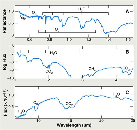 Exoplanet Habitability | Science