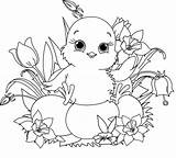 20 Free Easter Chick Coloring Pages Printable sketch template