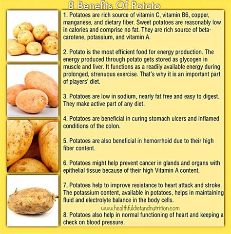 Can You Eat Potato On Plant Based Diet at Elma Mena blog