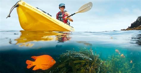 Channel Islands Kayaking Tours | Explore the National Park