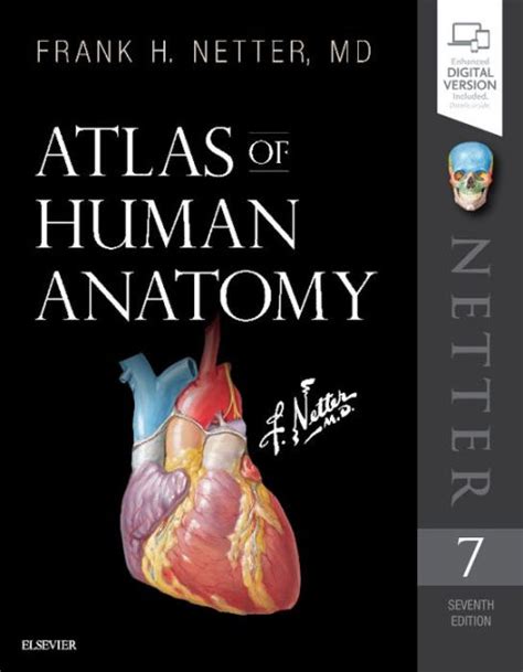 Atlas of Human Anatomy / Edition 7 by Frank H. Netter MD | 9780323393225 | Paperback | Barnes ...