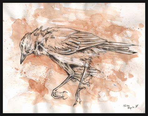 dead bird study by twistedviolet on DeviantArt