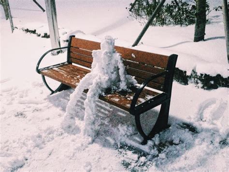 The Jeju Island Winter That Shut Down the "Hawaii of Korea ...