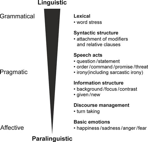 Frontiers | Speech Prosody as a Bridge Between Psychopathology and ...