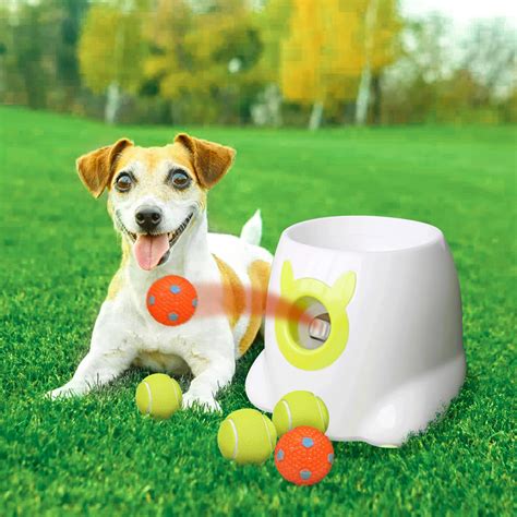 YEEGO DIRECT Dog Ball Launcher, Automatic Dog Ball Launcher for Small Dogs, Interactive Dog Toys ...