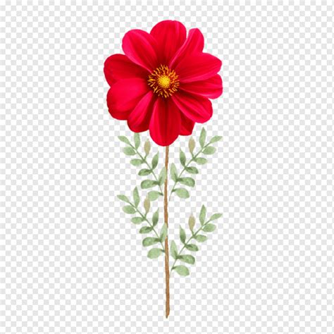 Flower, Red Flower, Spring, Blossom, Flora, png | PNGWing