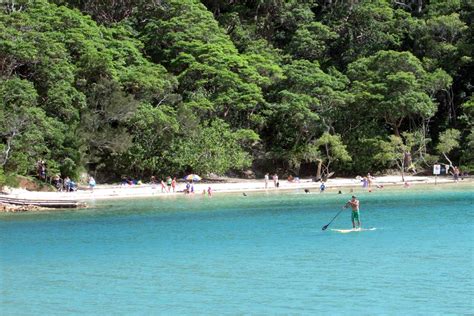 Burleigh Head National Park Burleigh Heads | Must Do Gold Coast