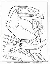 Printable Realistic Animal Coloring Pages At GetColoringscom  Free sketch template