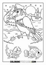 10 Parrot Coloring Page  Fun Pages sketch template