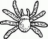 Free Printable Spider Coloring Pages For Kids sketch template