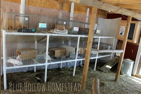 Rabbitry set up at Blue Hollow Homestead Rabbit Hutch And Run, Rabbit Hutch Plans, Rabbit Farm ...