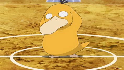 Misty's Psyduck (anime) | Pokémon Wiki | FANDOM powered by Wikia