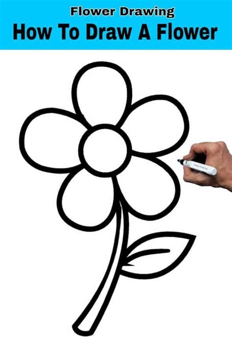 How To Draw A Flower Easy | Flower Drawing Tutorial in 2024 | Easy ...