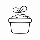 Plant Growth Coloring Pages 2025 sketch template
