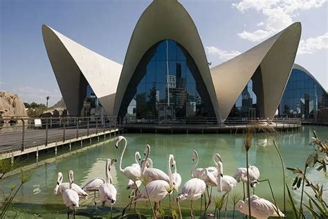 Zoo architecture that's full of animal magic – in pictures | Zoo architecture, London zoo, Zoo