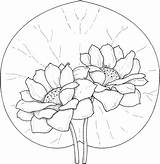 Two Water Lilies coloring Page  Free Printable Coloring Pages sketch template