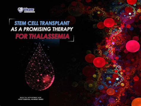 Stem Cell Transplant as a Promising Therapy for Thalassemia