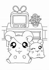 Coloring Page  Hamtaro coloring Pages 192 sketch template