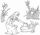 Free Moses Coloring Pages Pdf  Coloringfoldercom sketch template
