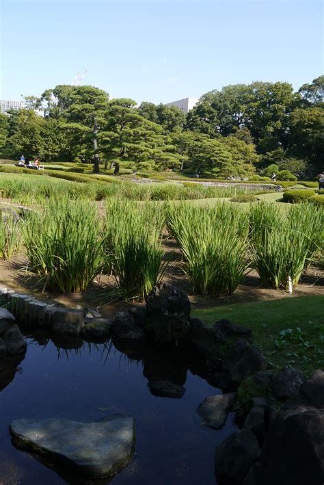 The East Garden of the Imperial Palace in Tokyo has been open to the ...