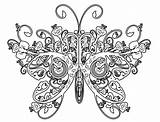 Intricate Coloring Pages For Adults  Home sketch template