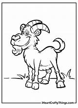 Goat Coloring sketch template