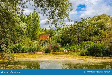 Marshes in Bourges, France stock image. Image of europe - 130393509