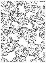 Gooseberry Coloring Pages Printable For Free Download sketch template