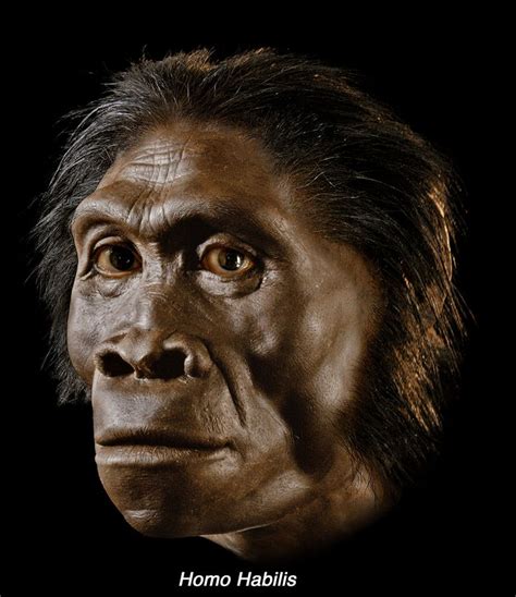 LivinMicro - Blog: If Africans have 0% neanderthal DNA, does that mean Blacks were the first ...