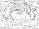Dolphins Coloring Pages 100 Pictures Free Printable sketch template