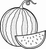 Watermelon Coloring Pages  Best For Kids sketch template