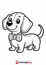Sausage Dog Coloring Page Free PDF Printable sketch template