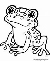 Frog Coloring Pages Printable For Free Download sketch template