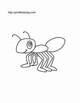 Free Printable Insects Coloring Pages sketch template