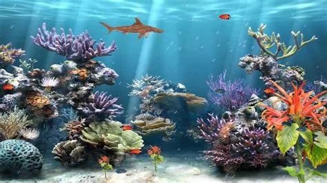 Cartoon Aquarium Wallpapers - Top Free Cartoon Aquarium Backgrounds - WallpaperAccess