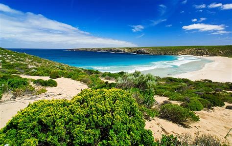 11 Top-Rated Tourist Attractions on Kangaroo Island | PlanetWare