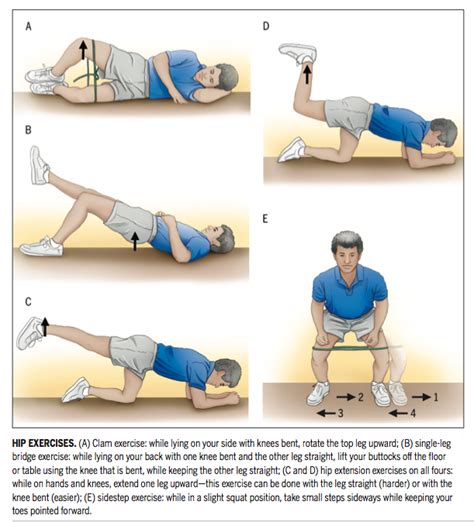 Gluteal Muscles Exercise