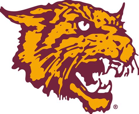 Bethune-Cookman Wildcats Alternate Logo - NCAA Division I (a-c) (NCAA a ...